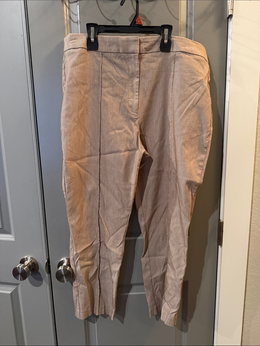 Worthington Skinny Pants in Blush/Taupe